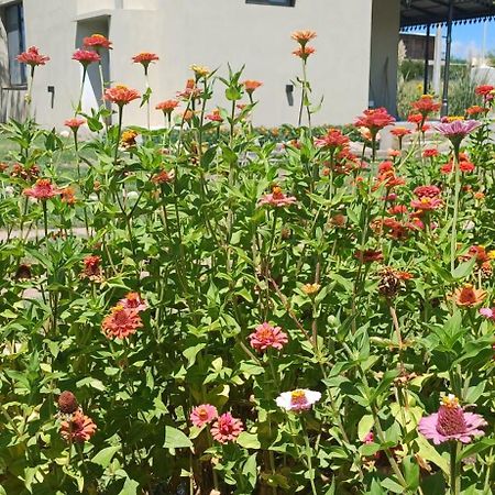 La Valentina Casa De Campo Villa Cura Brochero Dış mekan fotoğraf
