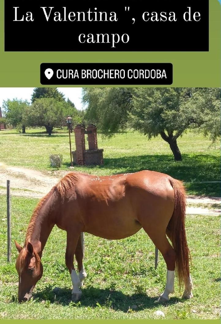 La Valentina Casa De Campo Villa Cura Brochero Dış mekan fotoğraf